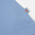 DICKIES Fairlawn Short Sleeve T-Shirt in ENDLESS SKY