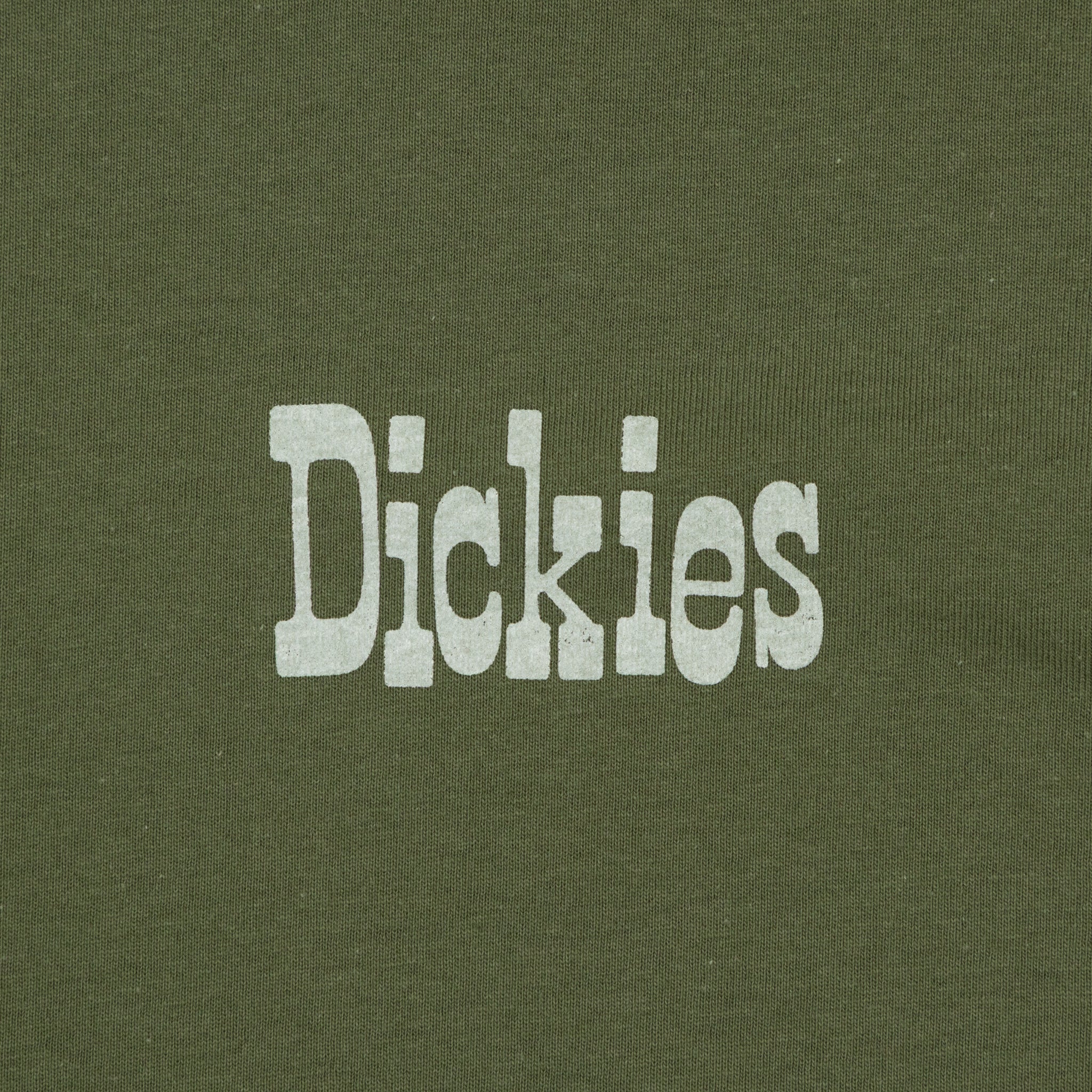 DICKIES Vernal Short Sleeve T-Shirt in CYPRESS