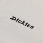 DICKIES Enon Pouch Bag in STONE