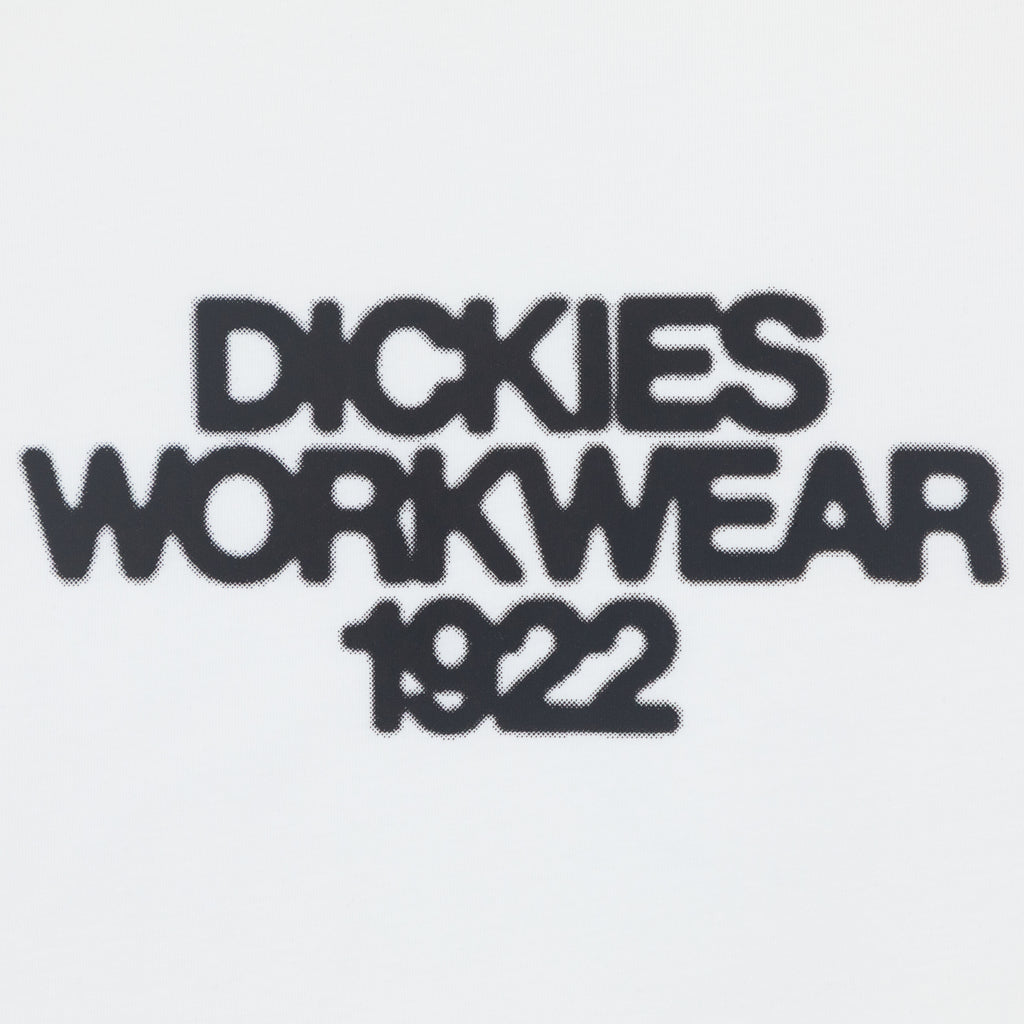 DICKIES Torrey Short Sleeve T-Shirt in WHITE