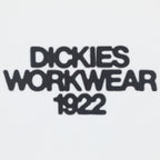 DICKIES Torrey Short Sleeve T-Shirt in WHITE