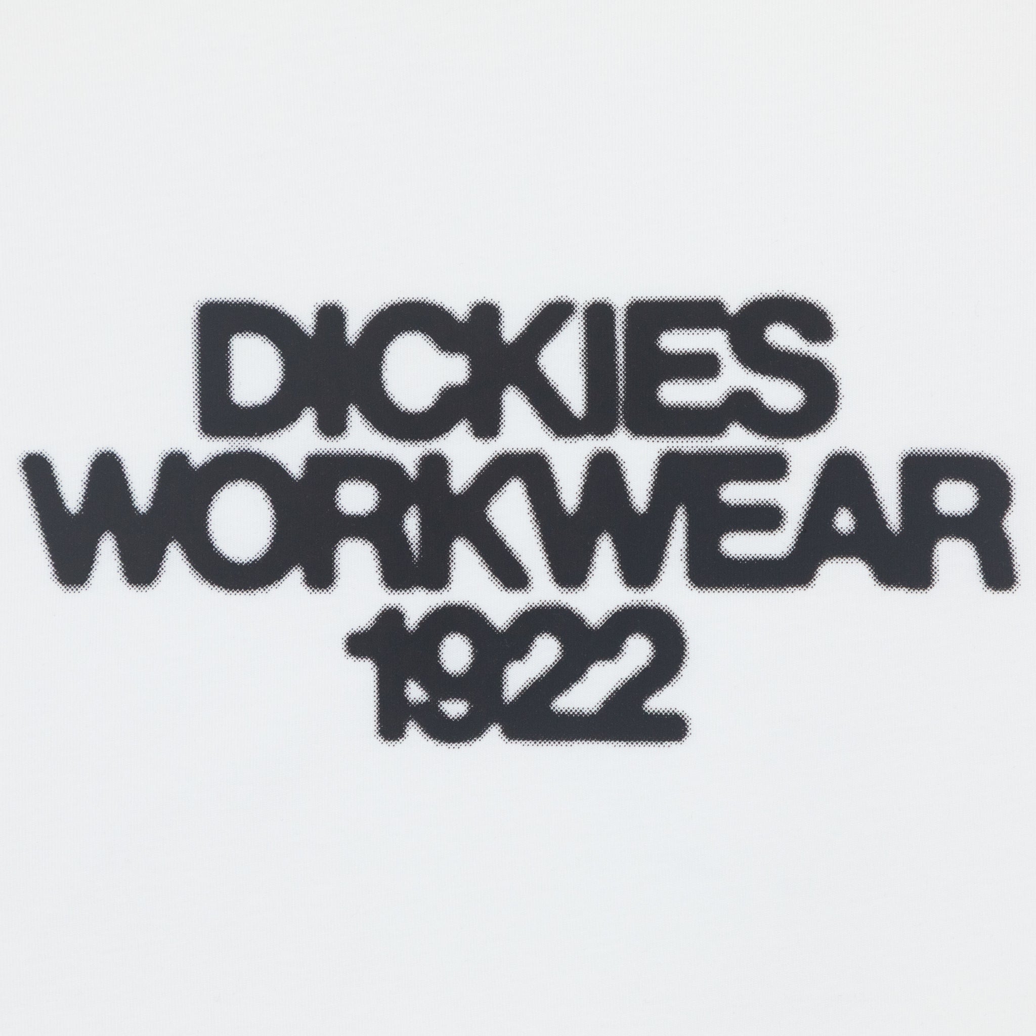 DICKIES Torrey Short Sleeve T-Shirt in WHITE