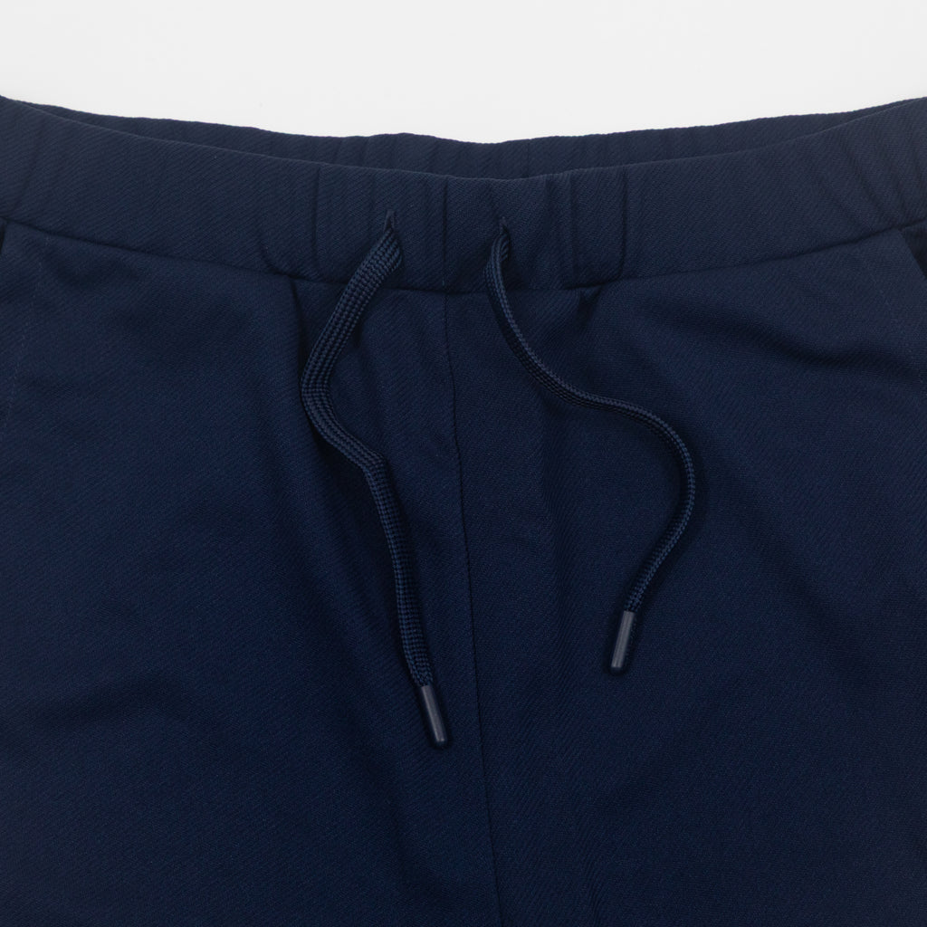 SERGIO TACCHINI Damarindo Joggers in BLUE
