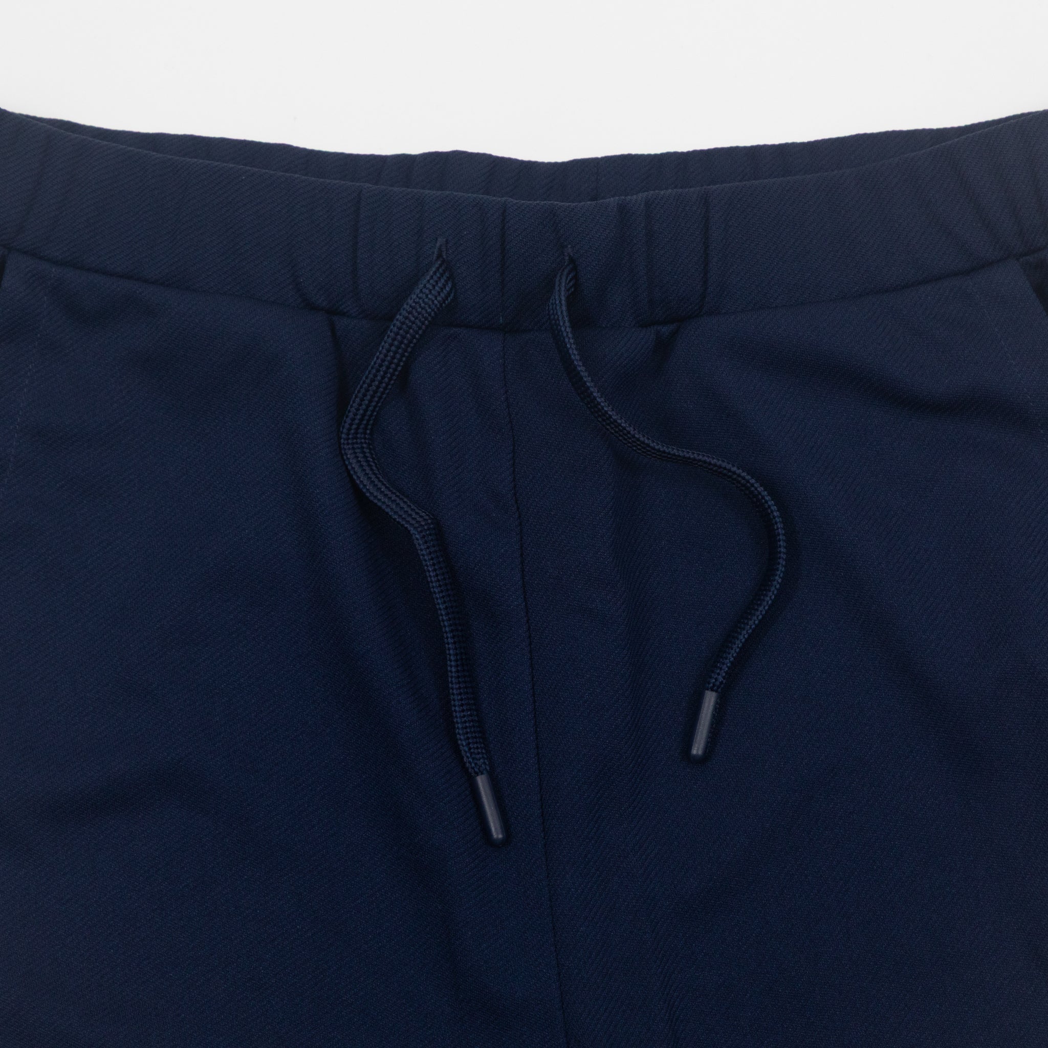 SERGIO TACCHINI Damarindo Joggers in BLUE