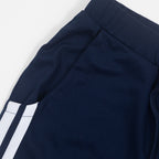 SERGIO TACCHINI Damarindo Joggers in BLUE