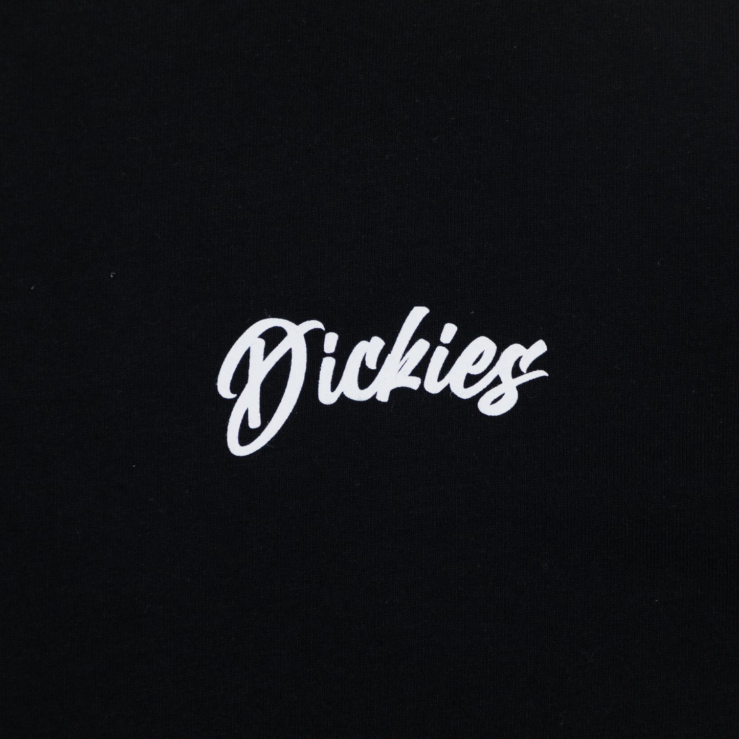 DICKIES Dighton Long Sleeve T-shirt in BLACK