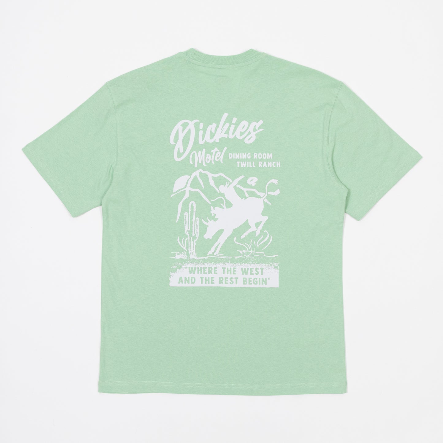 DICKIES Dighton T-Shirt in QUIET GREEN