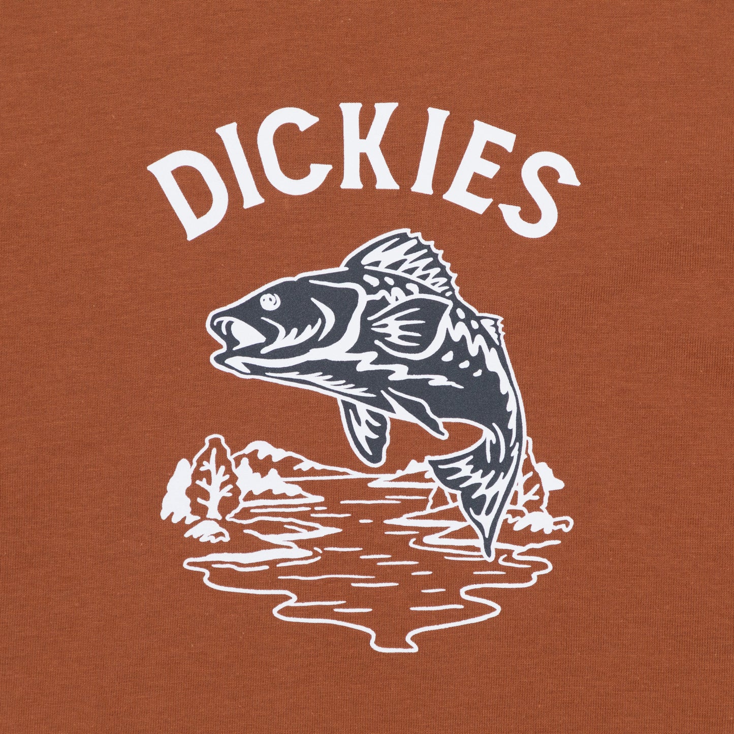 DICKIES Dumfries Graphic T-Shirt in LIGHT BROWN