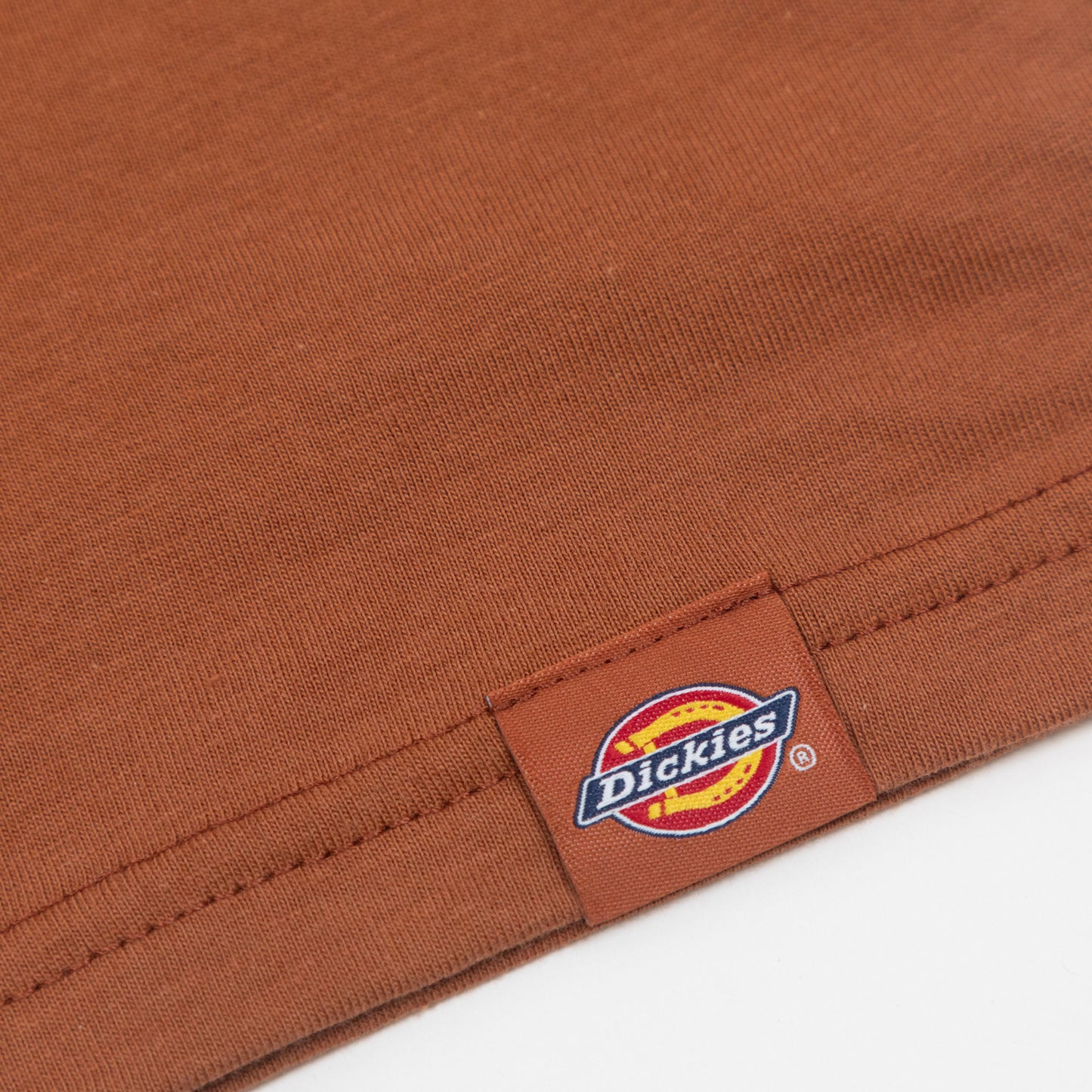 DICKIES Dumfries Graphic T-Shirt in LIGHT BROWN