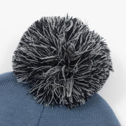 Herschel Supply CO. Elmer Stripe Pom Beanie in BLUE