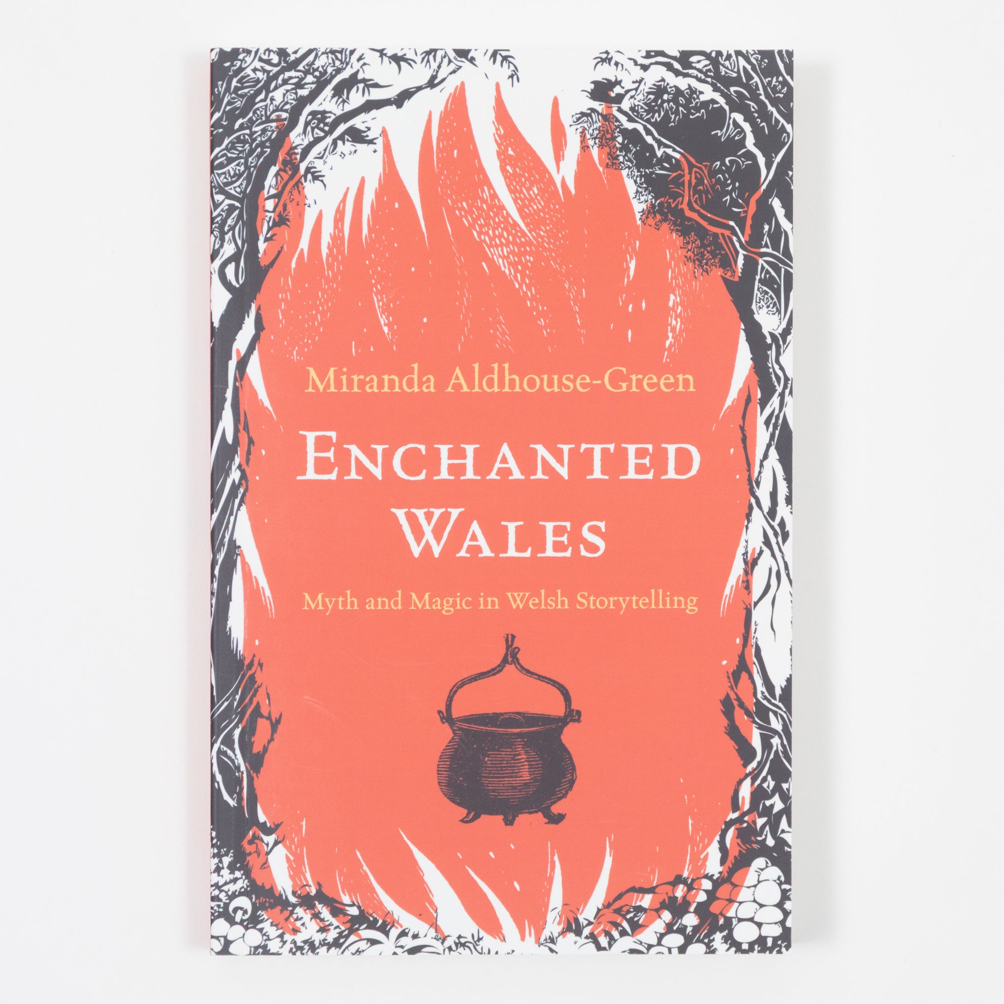 Enchanted Wales: Myth and Magic in Welsh Storytelling