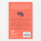 Enchanted Wales: Myth and Magic in Welsh Storytelling