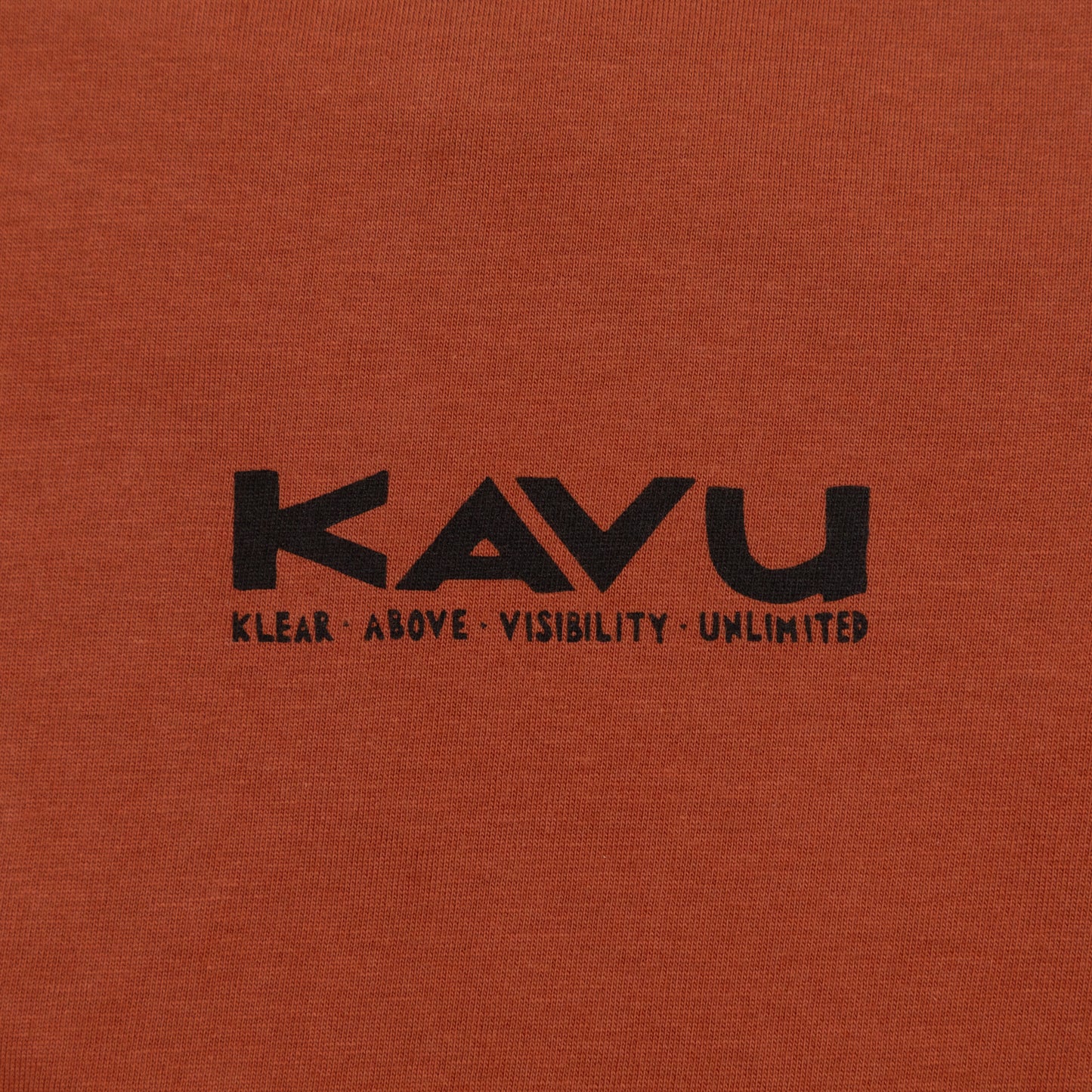 KAVU Etch Art Long Sleeve T-Shirt in ORANGE