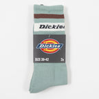 DICKIES Genola 2 Pack Socks in ICEBERG GREEN