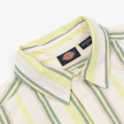 DICKIES Glade Spring Striped Shirt in GREEN & WHITE