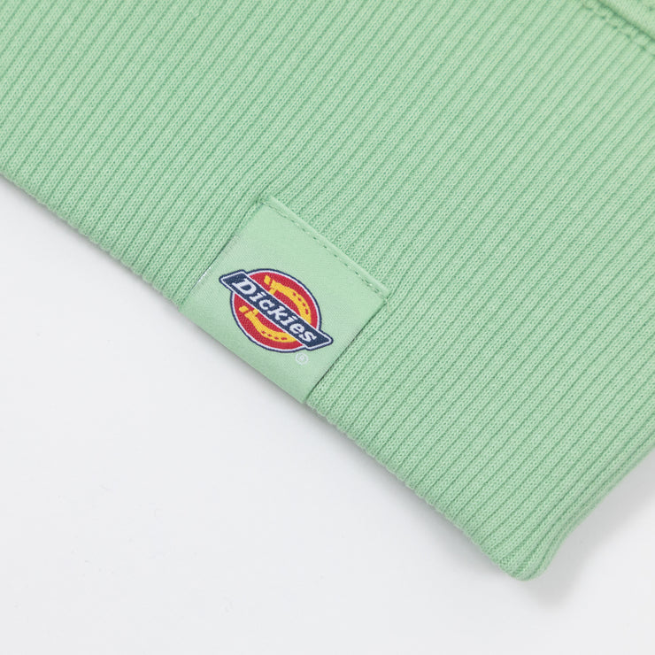 DICKIES Greensburg Hoodie in QUIET GREEN