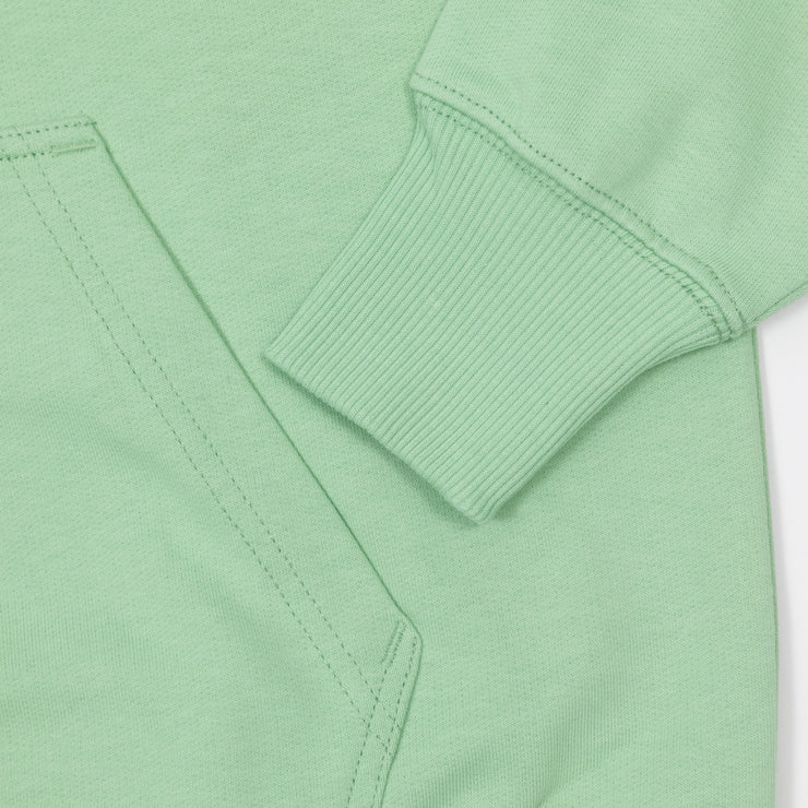 DICKIES Greensburg Hoodie in QUIET GREEN