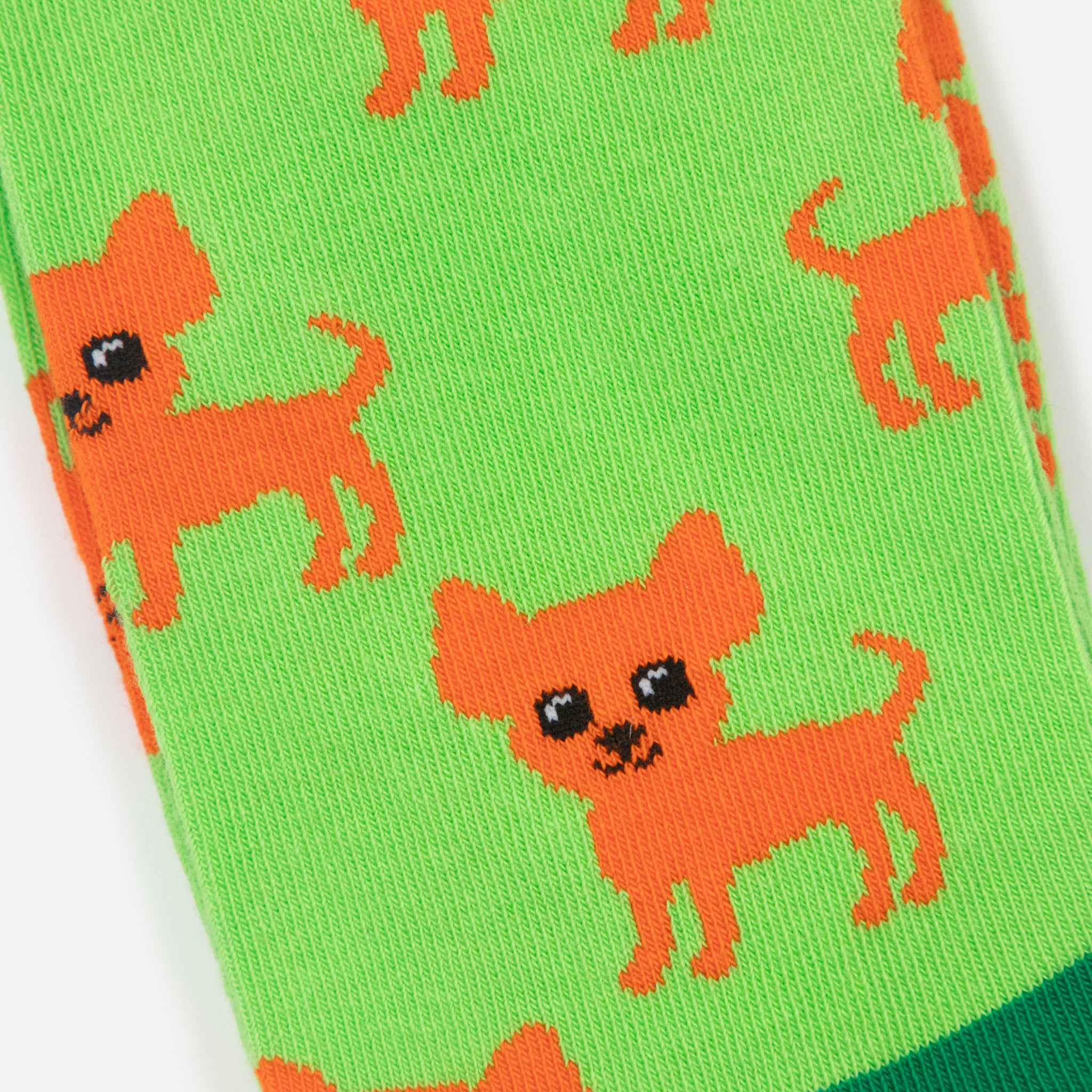 HAPPY SOCKS Chihuahua Socks in LIGHT GREEN