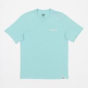 DICKIES Hays Graphic Short Sleeve T-Shirt in PASTEL TURQUOISE