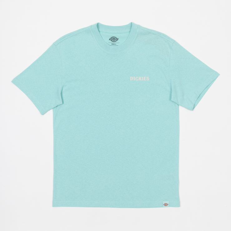 DICKIES Hays Graphic Short Sleeve T-Shirt in PASTEL TURQUOISE