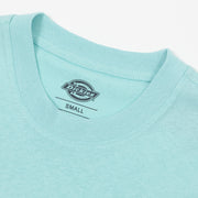 DICKIES Hays Graphic Short Sleeve T-Shirt in PASTEL TURQUOISE