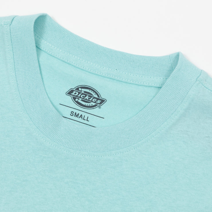 DICKIES Hays Graphic Short Sleeve T-Shirt in PASTEL TURQUOISE