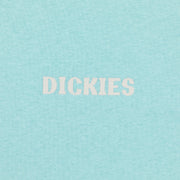 DICKIES Hays Graphic Short Sleeve T-Shirt in PASTEL TURQUOISE