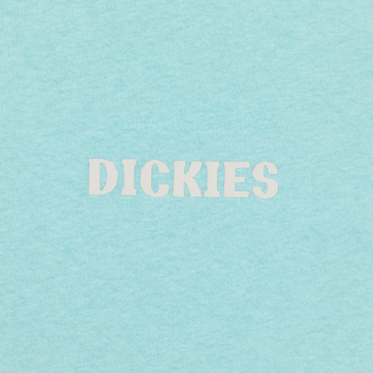 DICKIES Hays Graphic Short Sleeve T-Shirt in PASTEL TURQUOISE