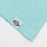 DICKIES Hays Graphic Short Sleeve T-Shirt in PASTEL TURQUOISE