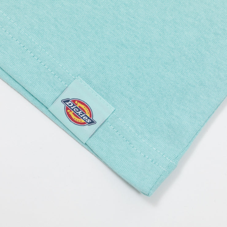 DICKIES Hays Graphic Short Sleeve T-Shirt in PASTEL TURQUOISE