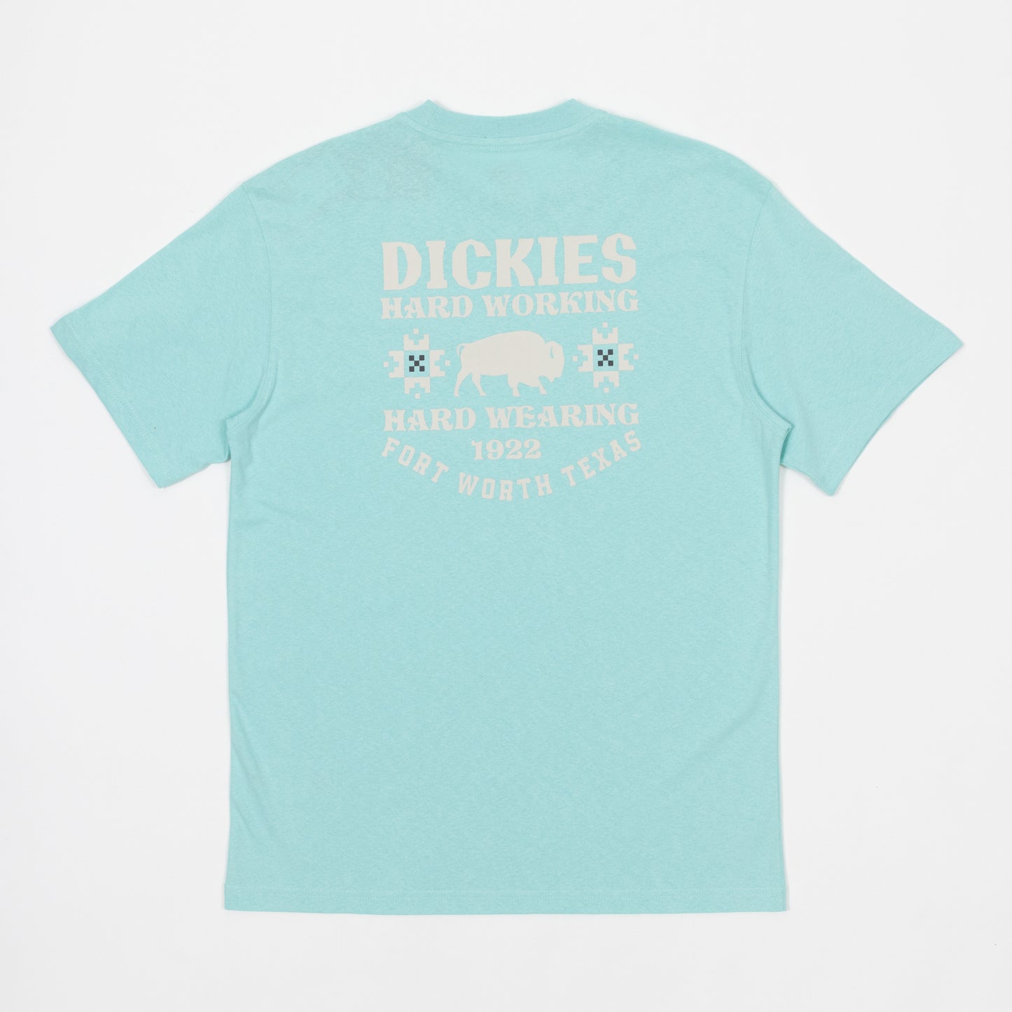 DICKIES Hays Graphic Short Sleeve T-Shirt in PASTEL TURQUOISE
