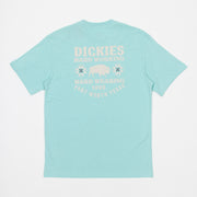 DICKIES Hays Graphic Short Sleeve T-Shirt in PASTEL TURQUOISE