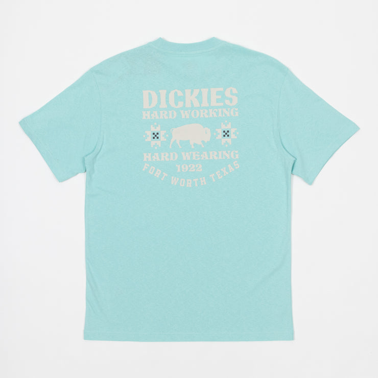 DICKIES Hays Graphic Short Sleeve T-Shirt in PASTEL TURQUOISE