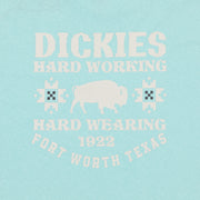 DICKIES Hays Graphic Short Sleeve T-Shirt in PASTEL TURQUOISE