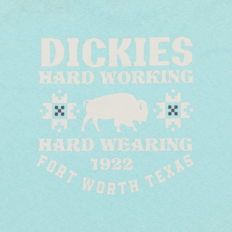 DICKIES Hays Graphic Short Sleeve T-Shirt in PASTEL TURQUOISE