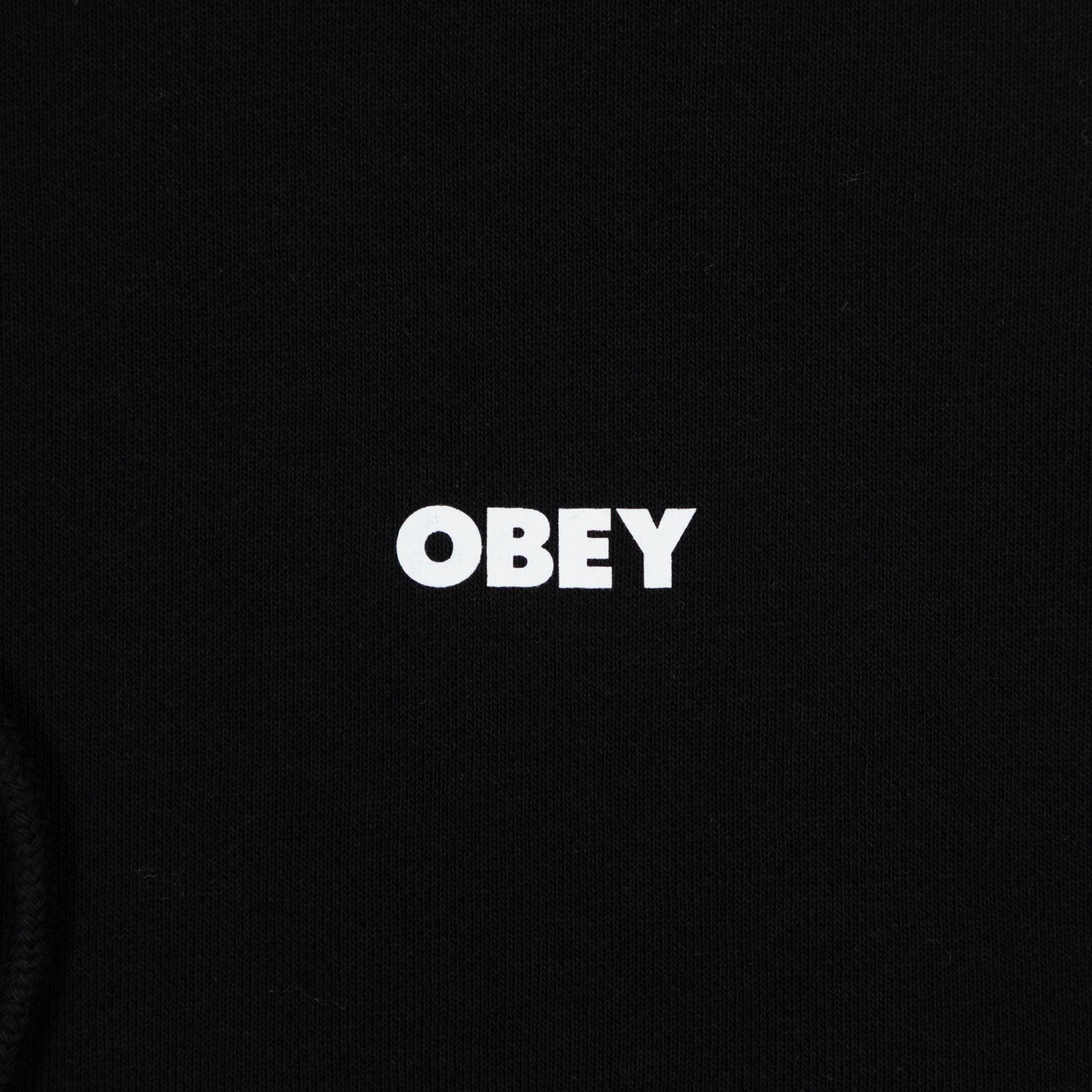 OBEY Heavyweight Terry Hoodie in BLACK