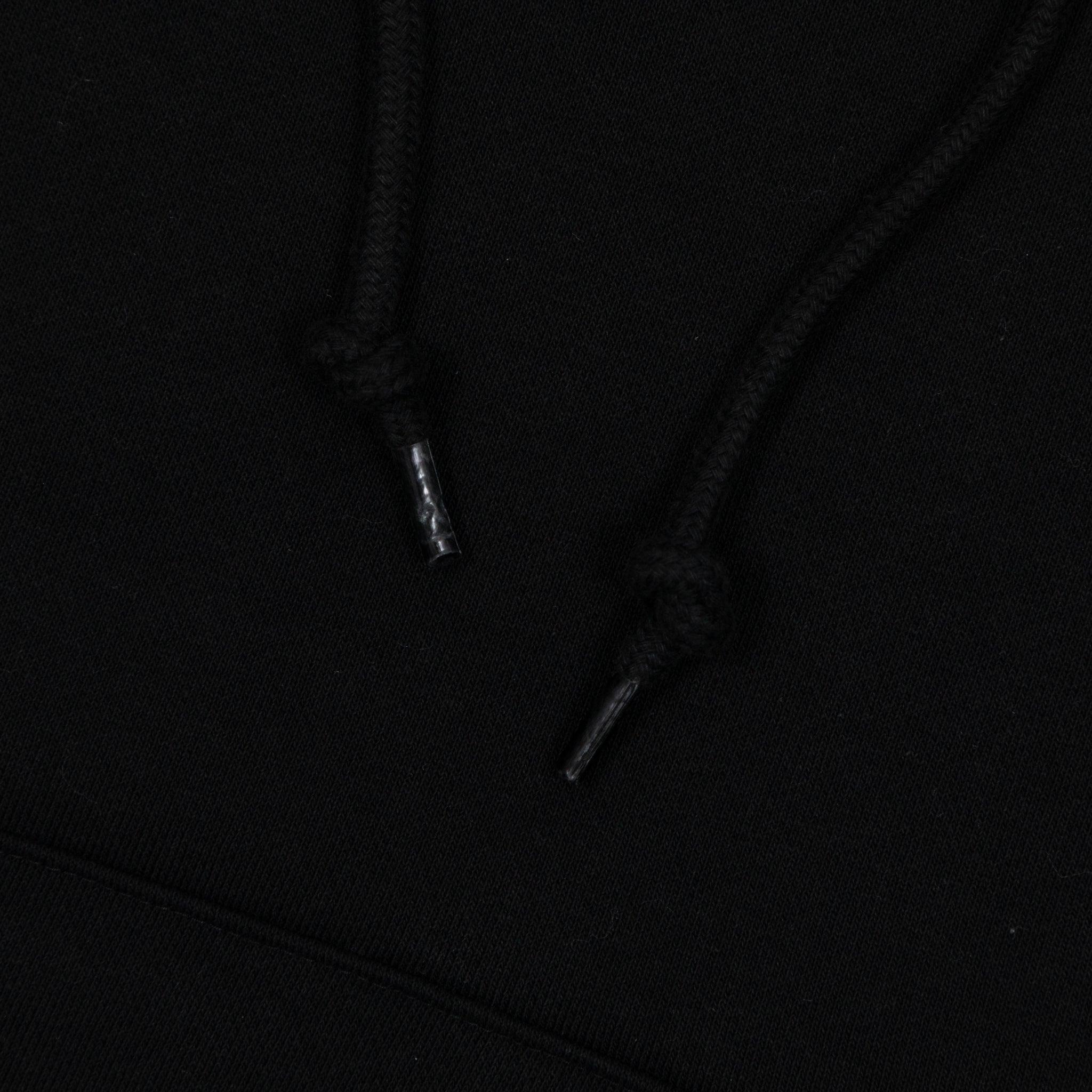 OBEY Heavyweight Terry Hoodie in BLACK