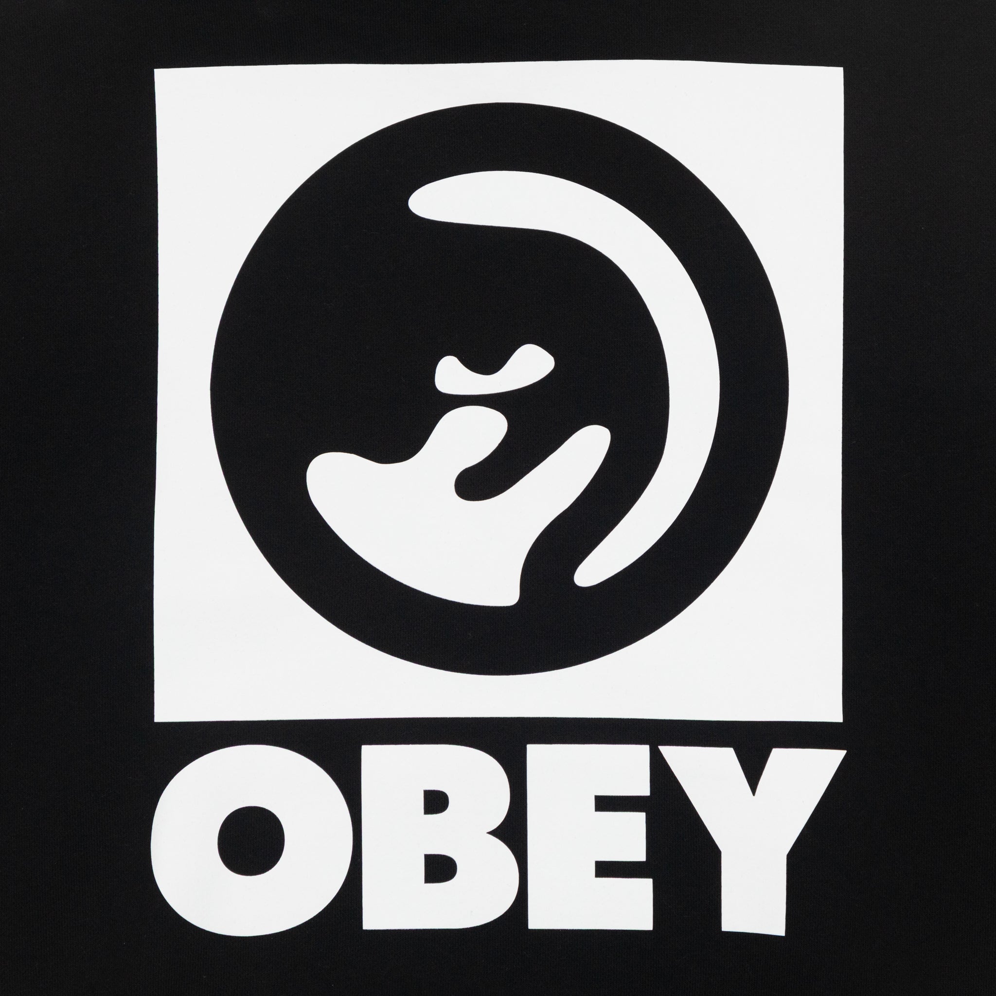 OBEY Heavyweight Terry Hoodie in BLACK