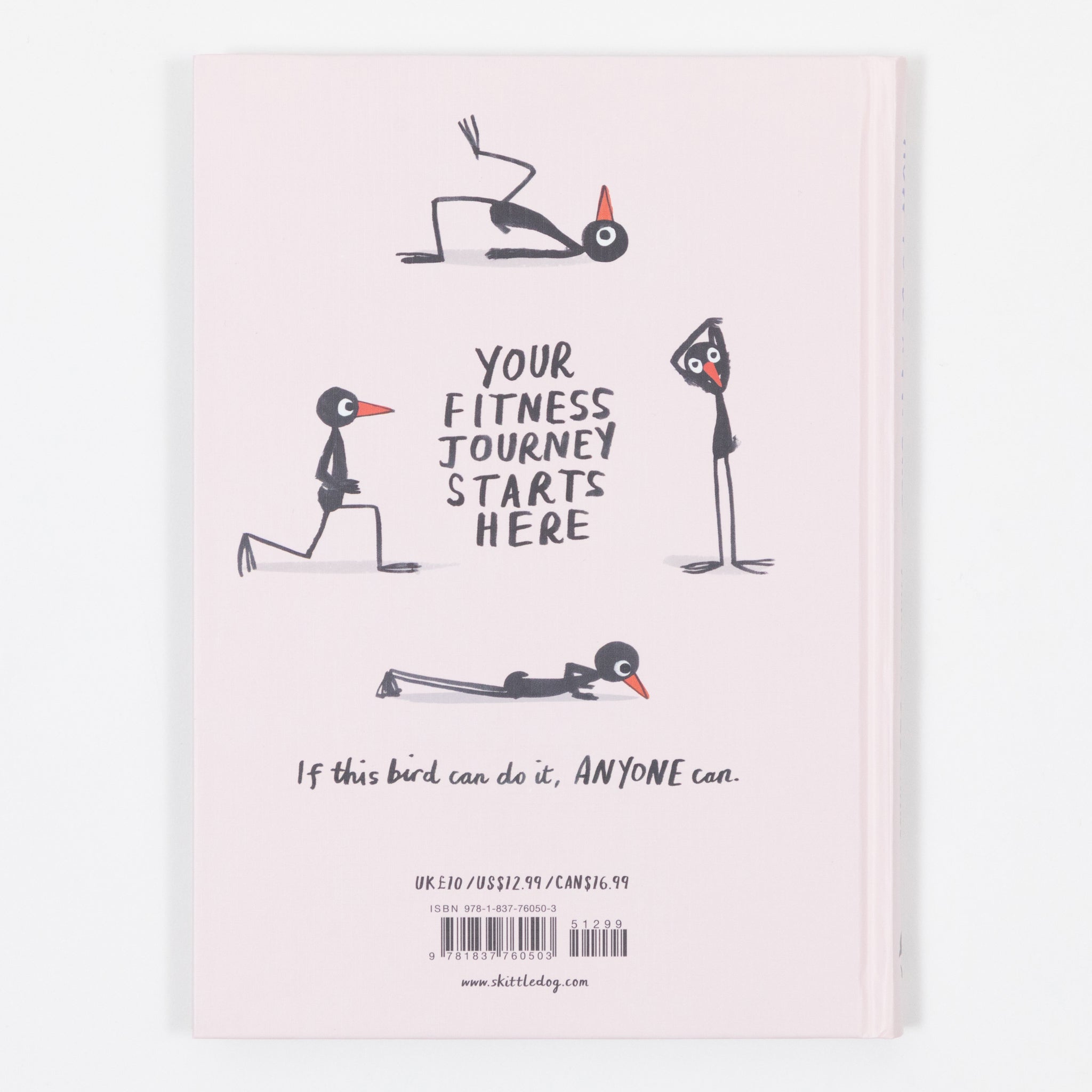 How To Be a Fit Bird Book