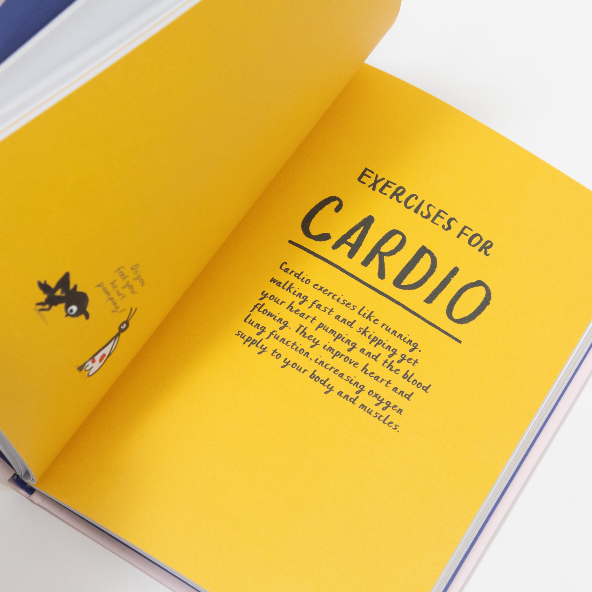How To Be a Fit Bird Book