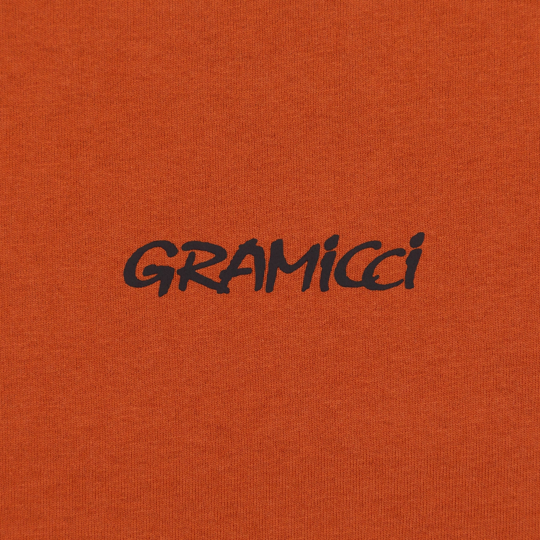 GRAMICCI Ice Axe T-Shirt in BURNT ORANGE