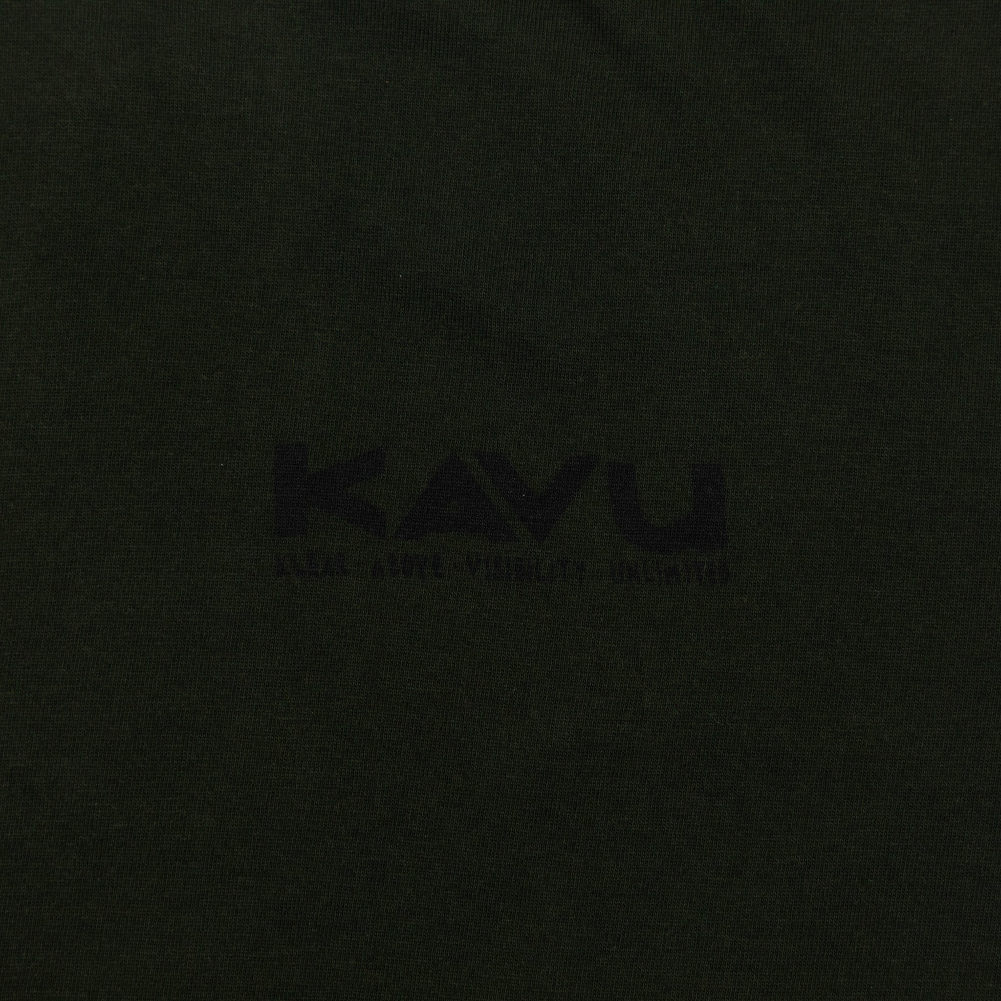 KAVU Klear Above Etch Art T-Shirt in ROSIN