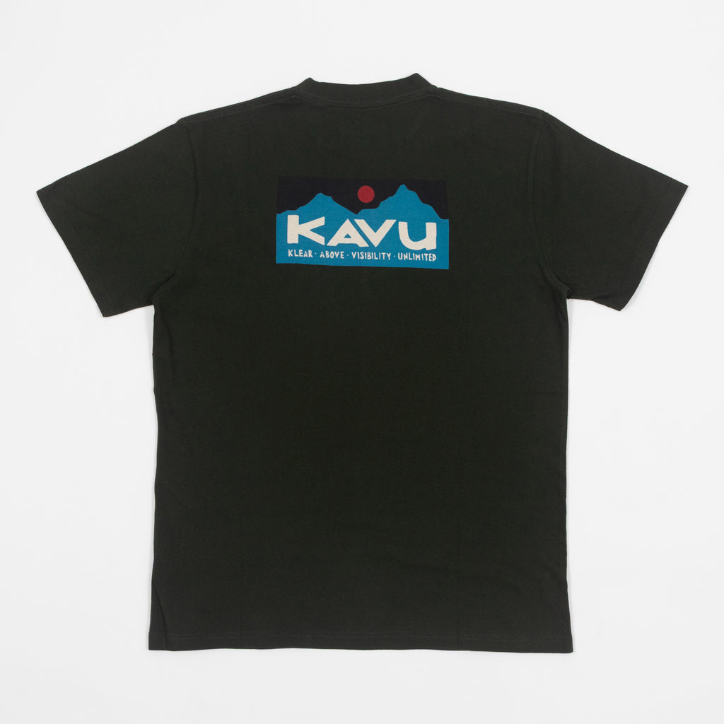 KAVU Klear Above Etch Art T-Shirt in ROSIN