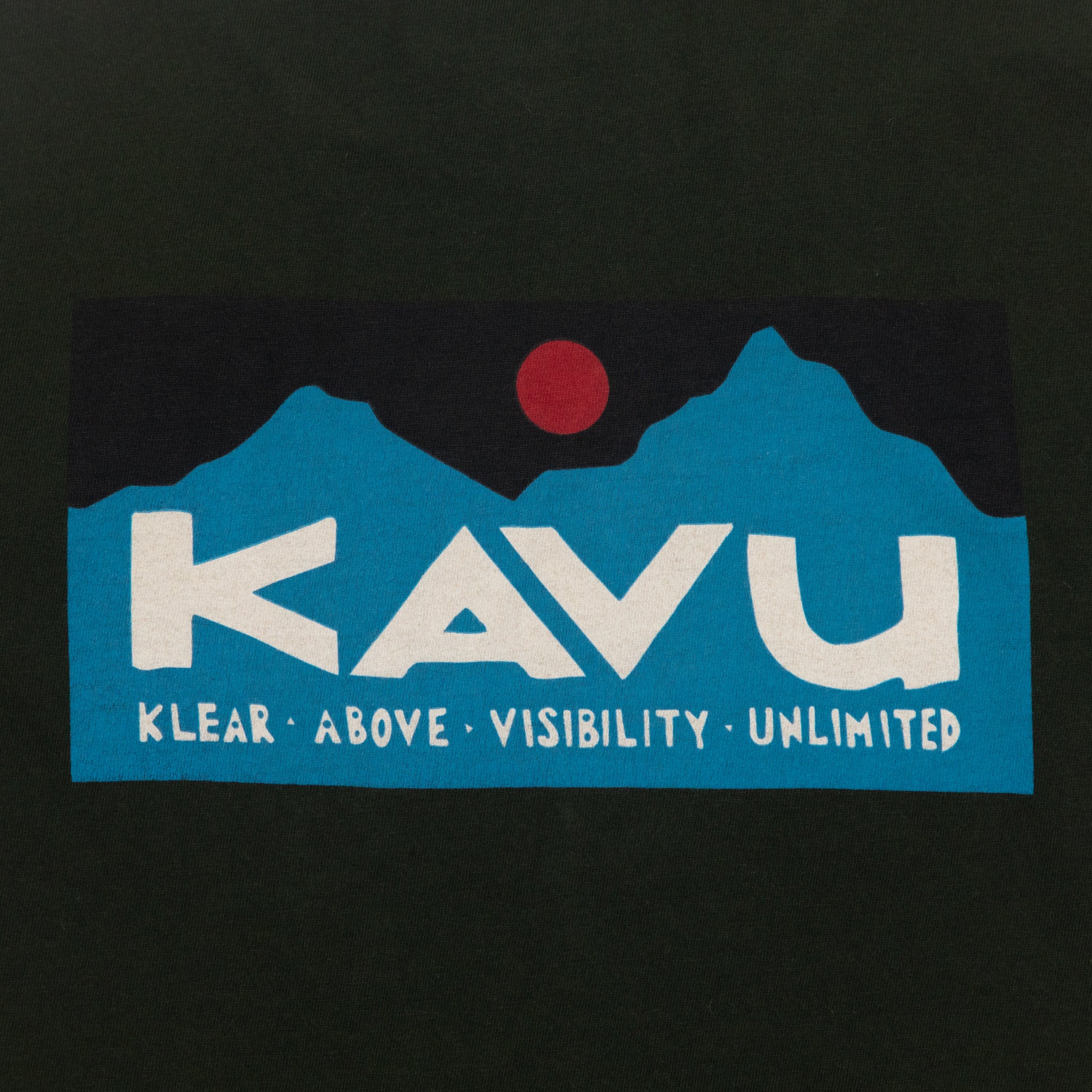 KAVU Klear Above Etch Art T-Shirt in ROSIN