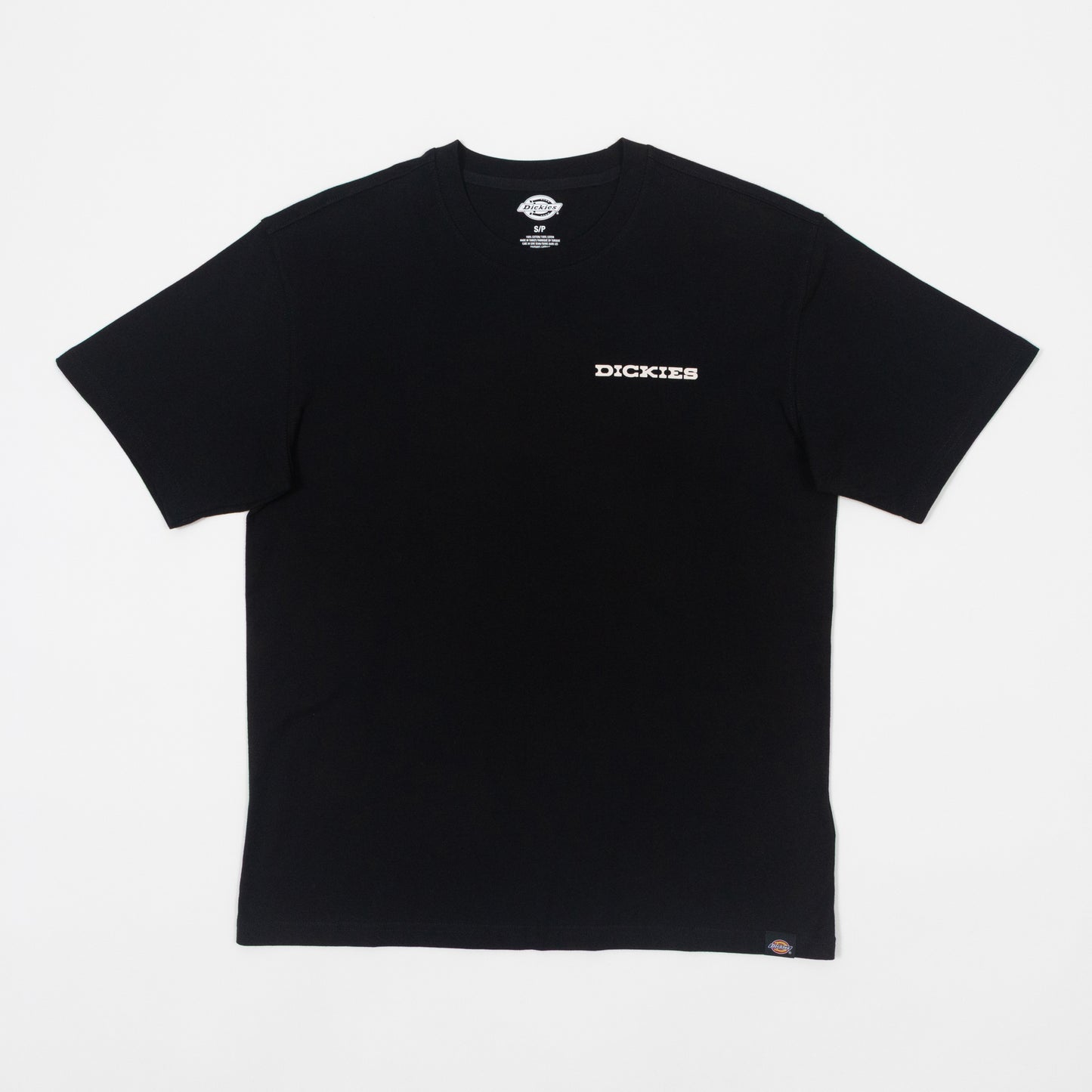 DICKIES Landscape T-Shirt in BLACK