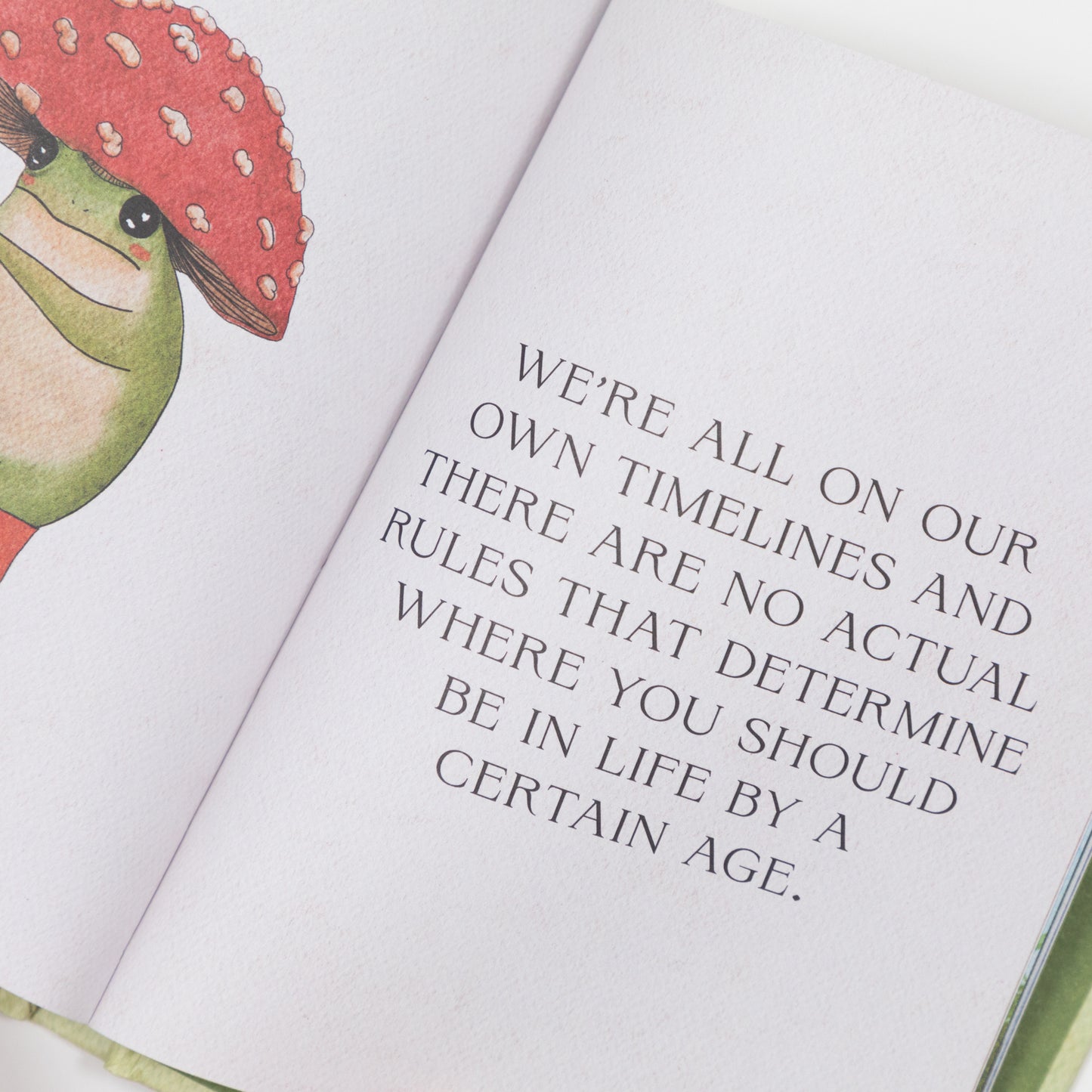 Little Frogs Guide To Self Care (HB)