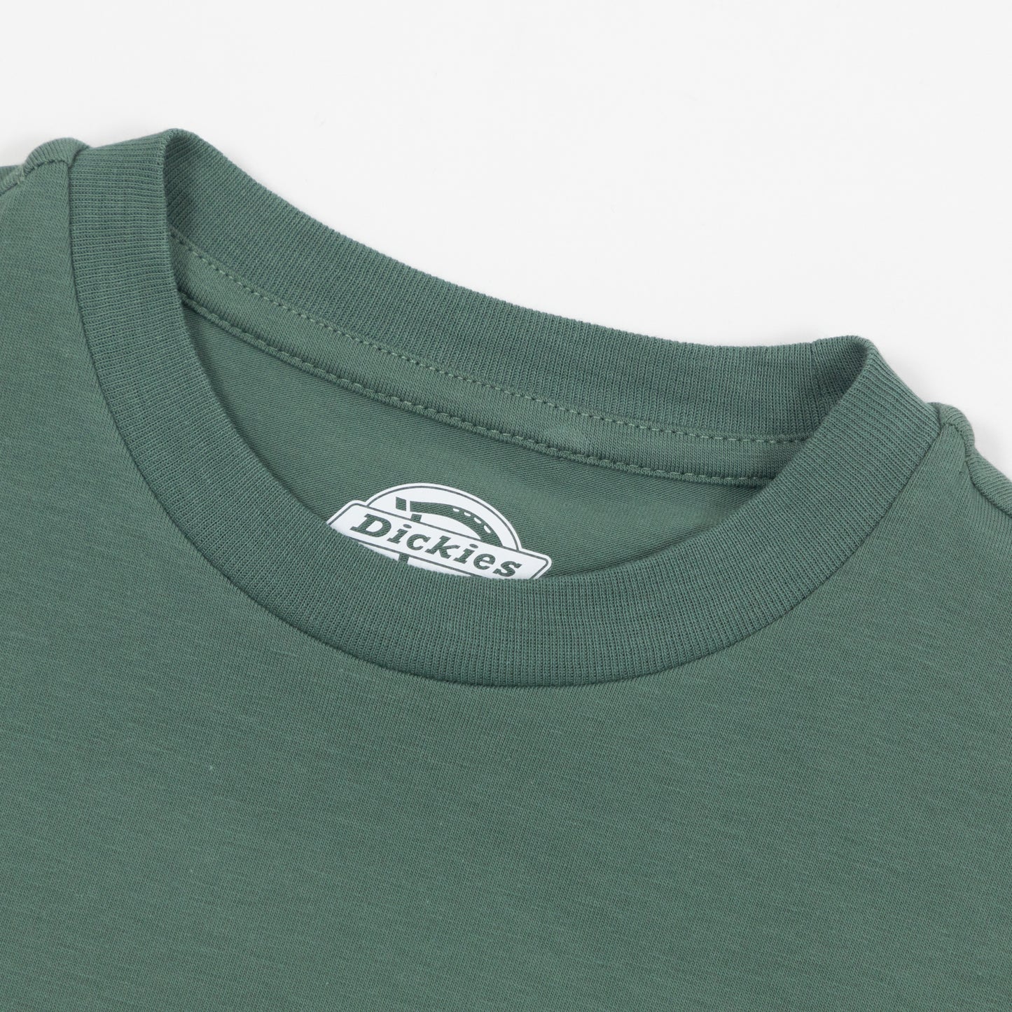 Women's DICKIES Maple Valley Cropped T-Shirt in GREEN