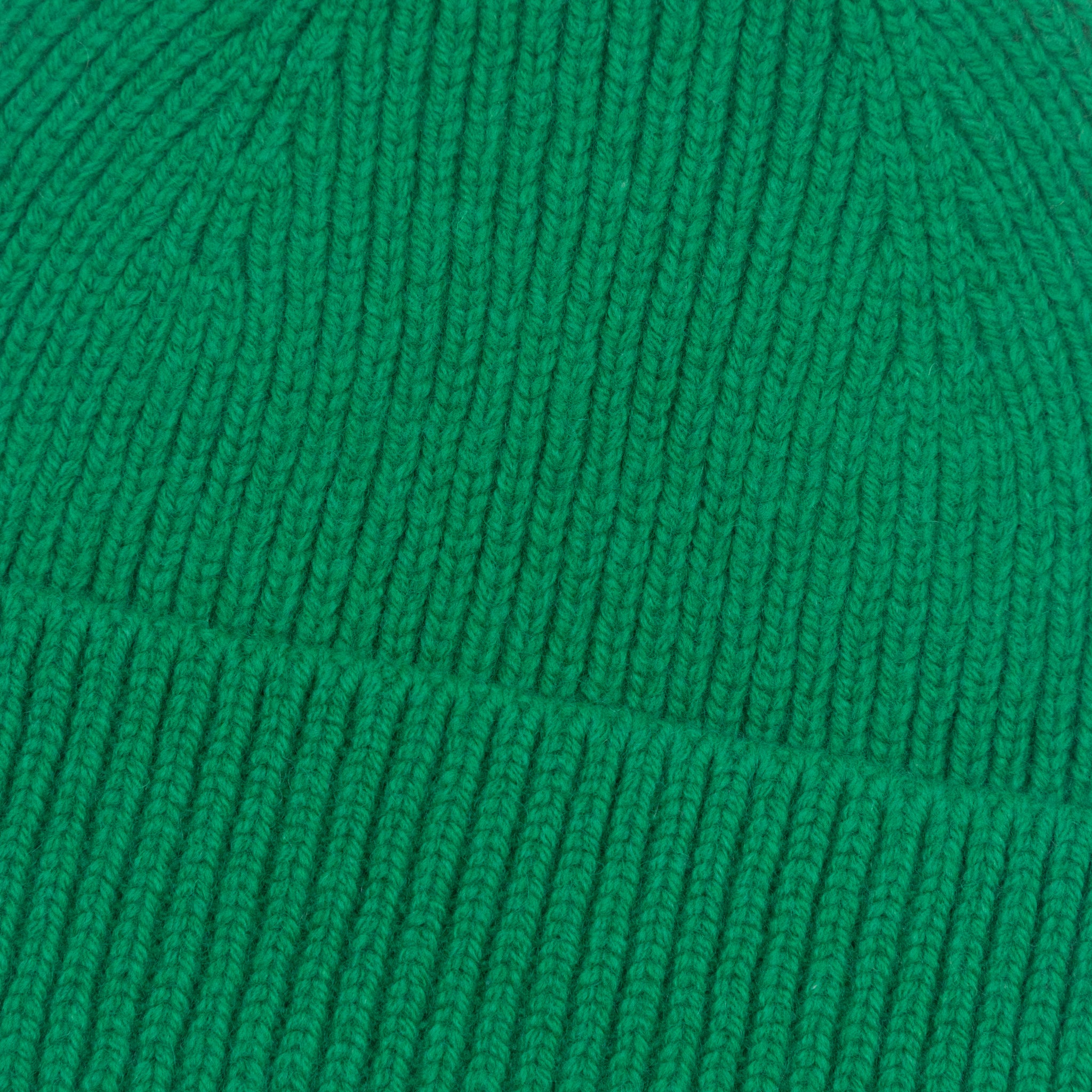 COLORFUL STANDARD Merino Wool Beanie in KELLY GREEN