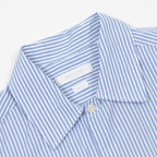 ONLY & SONS Pinstripe Relaxed Fit Long Sleeve Shirt in BLUE