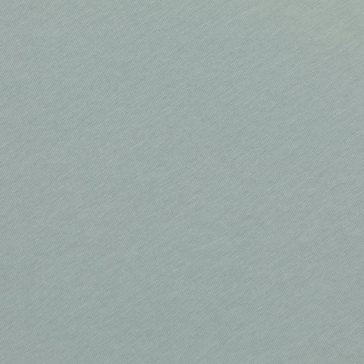 COLORFUL STANDARD Oversized T-Shirt in LIGHT BLUE